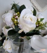 探寻白色玫瑰花所蕴含的深意 白色玫瑰花的意义与象征——纯洁与无暇的象征