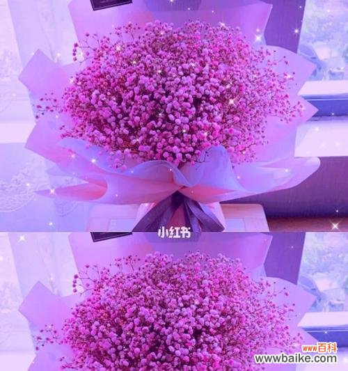 五彩斑斓的满天星 满天星花语——用不同颜色诉说情感