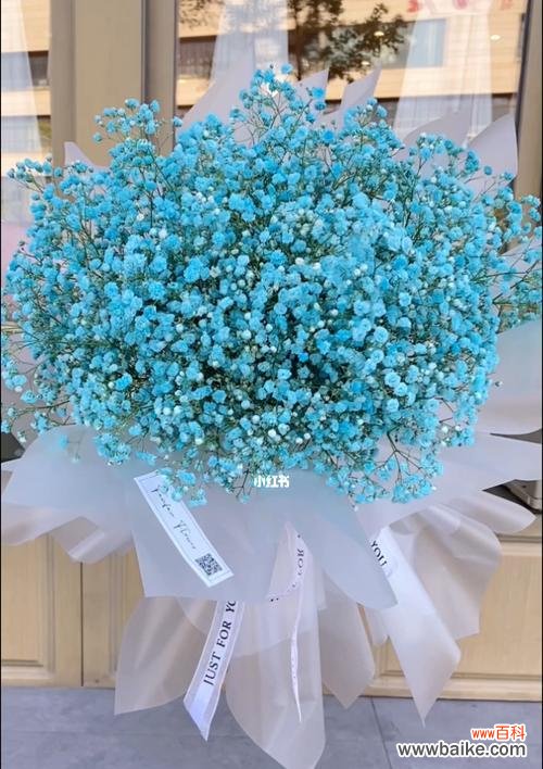 花语中的五彩人生 满天星花语