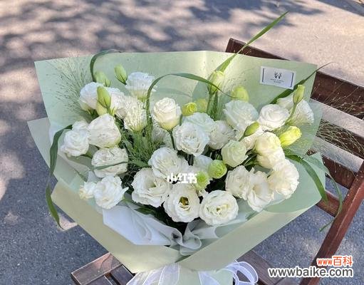 洋桔梗花语 白色洋桔梗花