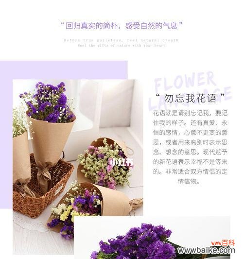 以不同颜色勿忘我传递心意 勿忘我花语，彩色盛开的情感之花