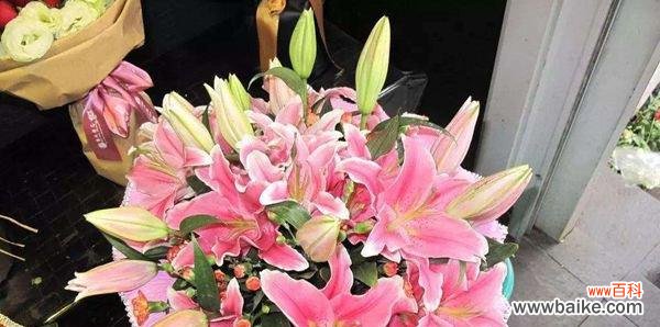 百合花的美丽与深情 百合花的意义和象征