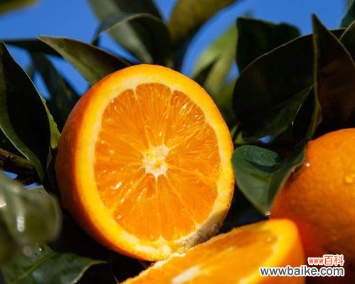 橙子的象征意义及其在文化中的重要性 橙子