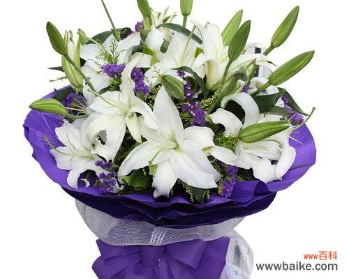 探寻百合花的精神内涵及其文化象征 百合花的寓意与象征意义