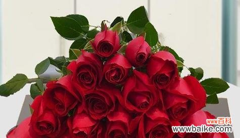 传递爱与热情的鲜花之选 大红色玫瑰的花语与象征意义