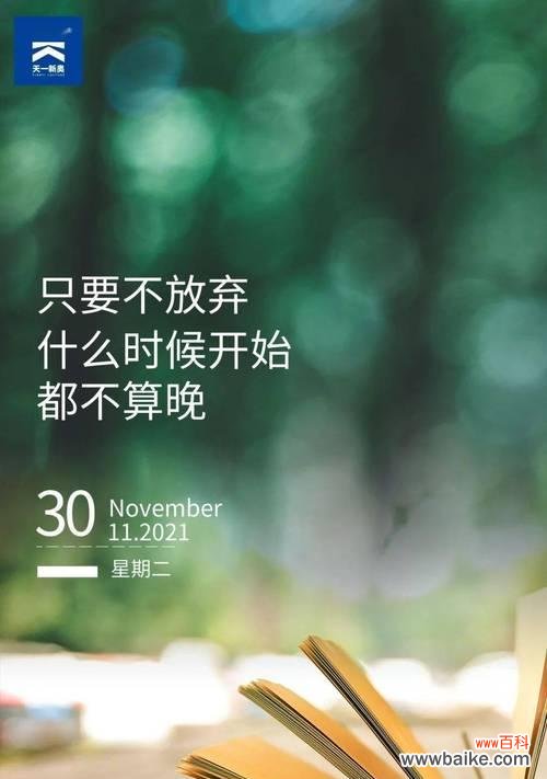 生命力无穷 坚韧不拔的花朵