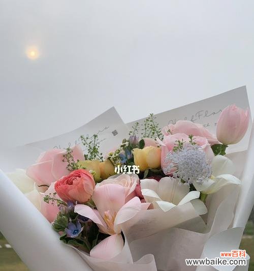 解读红玫瑰 花语情缘