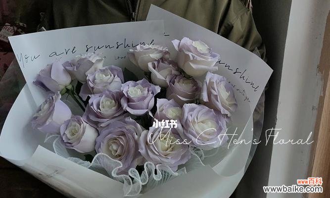 探寻薄雾玫瑰的神秘象征和历史渊源 薄雾玫瑰花语的含义与传说