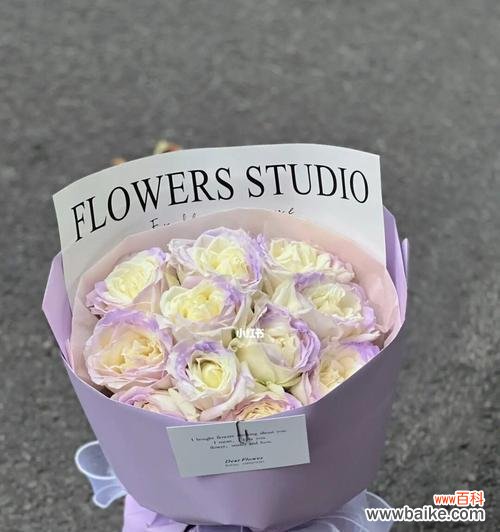 探寻薄雾玫瑰的神秘象征和历史渊源 薄雾玫瑰花语的含义与传说