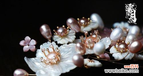 揭秘贝壳花的神秘语言 贝壳花的花语及含义