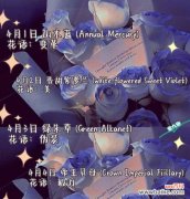 紫色牡丹花 紫色牡丹花的美丽与寓意