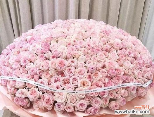 花语中的神秘暗示与寓意解读 以代表复合的花送什么花表示求复合