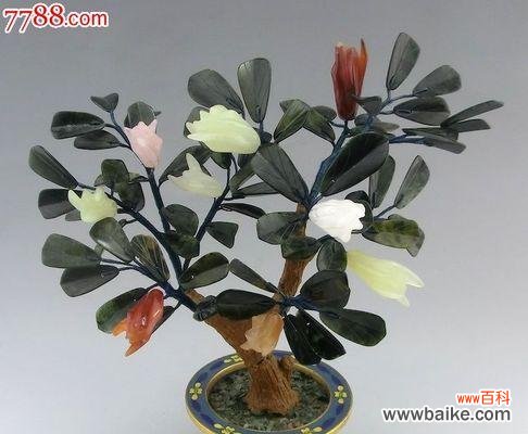 探寻宝石花的神秘魅力 宝石花