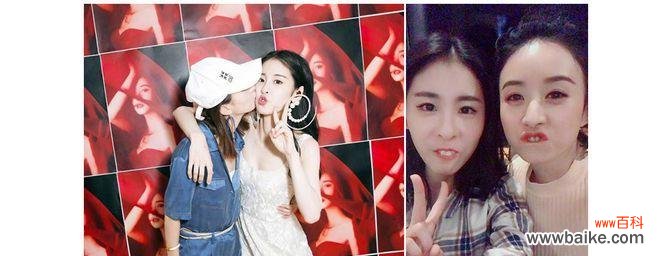 以代表姐妹情深的花为主题的探讨 花开姐妹情深