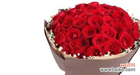 用花朵的语言表达真挚情感 玫瑰花之语