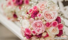 以花束中的玫瑰花数量为例解读其隐含的情感寓意 玫瑰花的数量代表的不同寓意