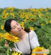 探索女性力量与美丽的花朵世界 以代表女性的植物为主题的文章