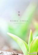 揭秘惊蛰植物的奇妙变化与生命力 惊蛰时节的植物世界