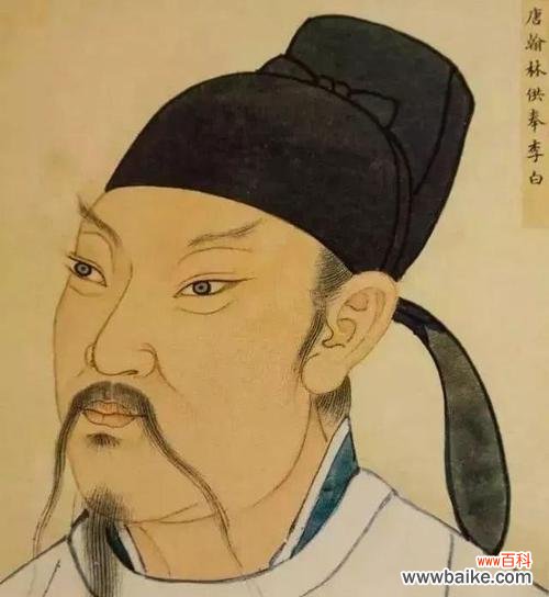 清高之美 高洁傲立，独放芳华