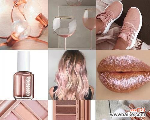 清高之美 高洁傲立，独放芳华