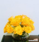 狮子座 星座花语