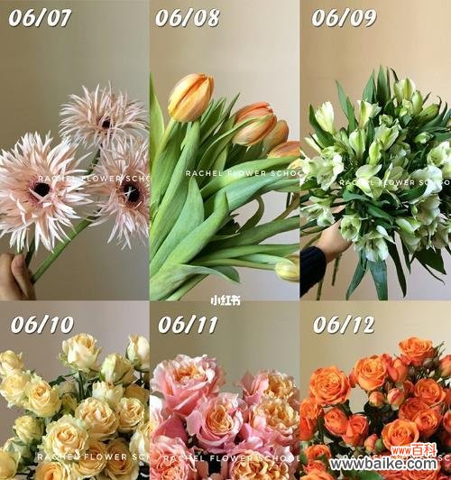 揭开花语的秘密 优雅神秘的花语世界