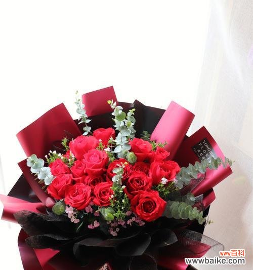 激情与热情的象征 大红色玫瑰的花语与意义