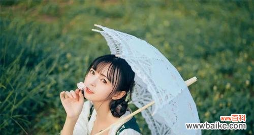 探寻花朵对人类占有欲的启示 花朵与占有欲