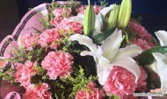 以代表早日康复的花为主题的探索与启示 花开康复之路