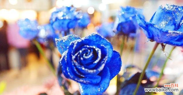 爱情之花 以花为主题的代表爱情的文章