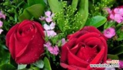 爱情之花 以花为主题的代表爱情的文章