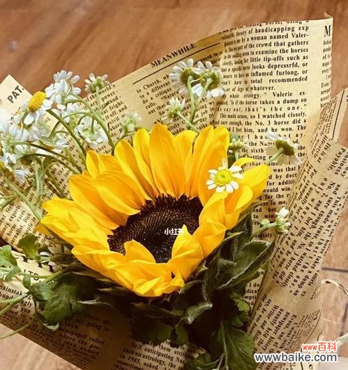 以玫瑰为象征的友情的美丽和力量 友情之花