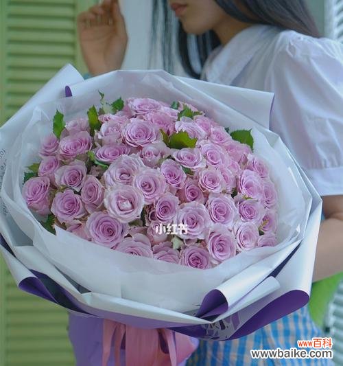 淡紫色玫瑰花语传达的五种情感 淡紫色玫瑰花语