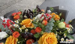 以花语花为代表的友谊之美 友谊之花绽放的美丽