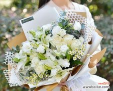 用花开的语言 友谊之花，滋养心灵的永恒之美