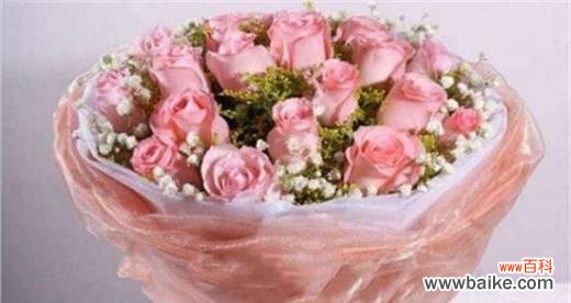 走进戴安娜玫瑰的世界 戴安娜玫瑰的花语