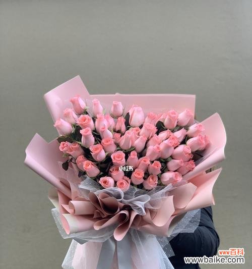 探索戴安娜玫瑰背后的深层含义 戴安娜玫瑰的寓意与象征