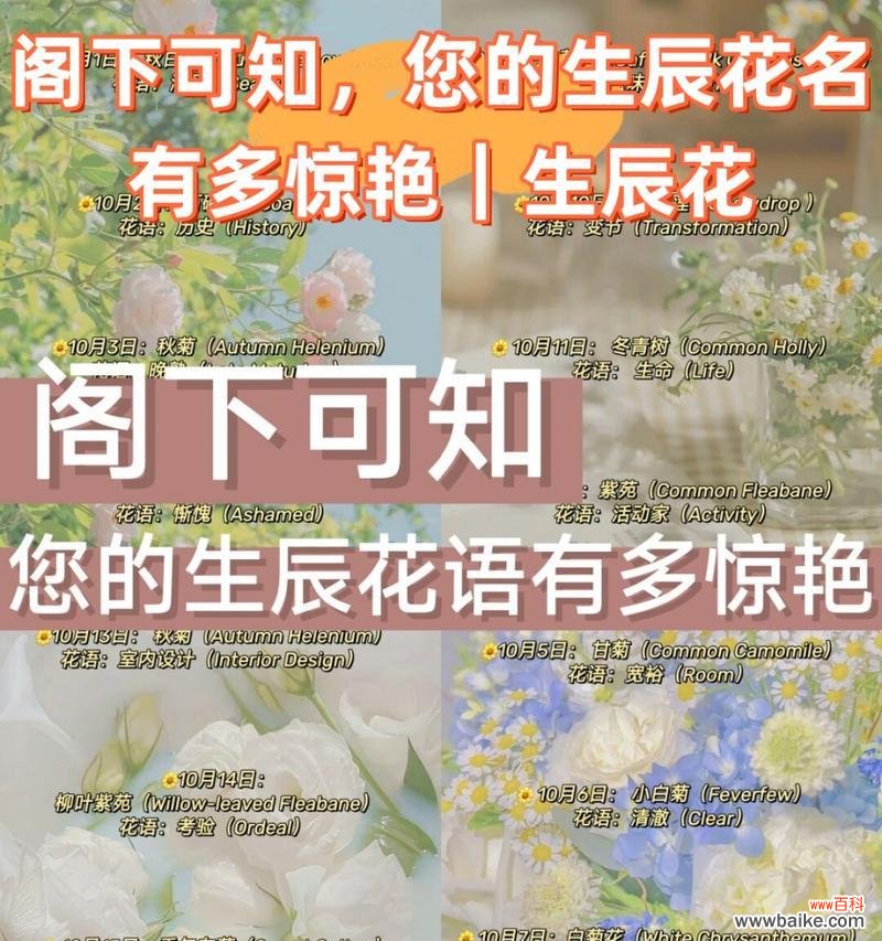 追溯木槿花的神话传说与象征意义，探寻其花语的多样性 木槿花