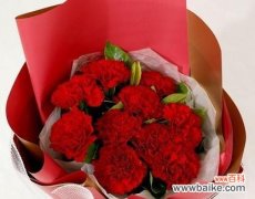 探秘多头菊的花语 多头菊的花语与意义