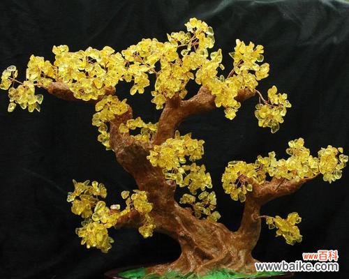 财运亨通、事业蒸蒸日上 发财树