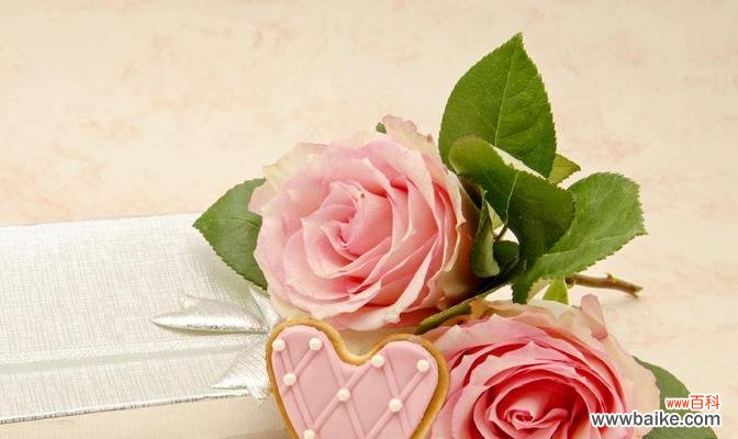 表达浪漫与感恩的花语语言与适宜对象 粉玫瑰花语之意义与赠送对象