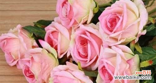 浪漫 粉色玫瑰的花语及象征意义