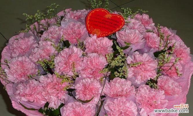 探寻粉色康乃馨花语的情感与象征 粉色康乃馨花语的深层含义