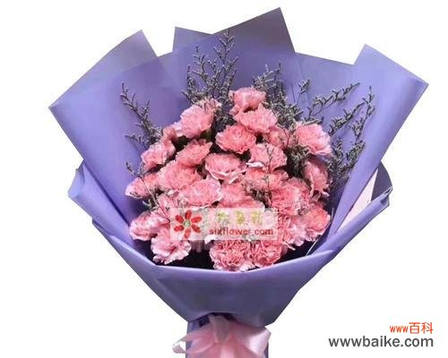 探索康乃馨的花语 粉色康乃馨