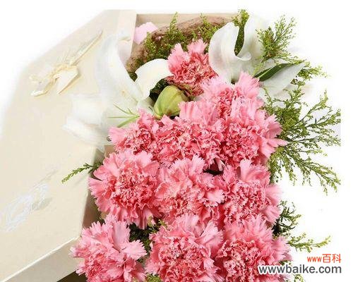 探索粉色康乃馨的浪漫魅力 康乃馨的粉色意义