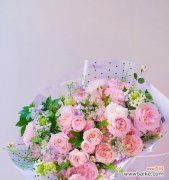 一朵粉红色玫瑰背后的情感世界 探寻粉红色玫瑰的浪漫与温柔