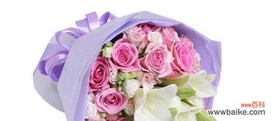 深入探究粉玫瑰的花语与意义 粉玫瑰的寓意和象征