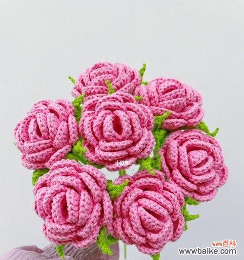 探寻粉色玫瑰花的情感与象征 粉色玫瑰花的美丽含义