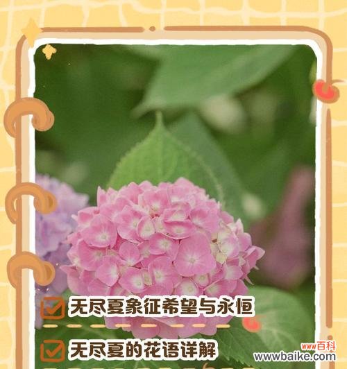 探寻木棉花背后的象征意义 木棉花的花语与寓意