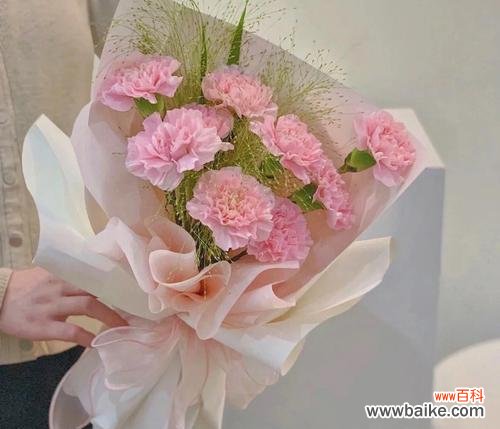 传递温情与崇敬的鲜花之语 粉色康乃馨的象征意义